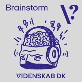 Brainstorm