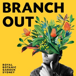 Branch Out