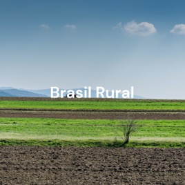 Brasil Rural: as Mulheres No Terreno Da desigualdade