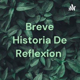 Breve Historia De Reflexion