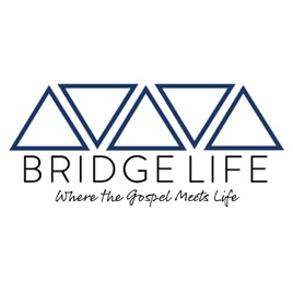 Bridge Life
