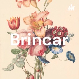 Brincar