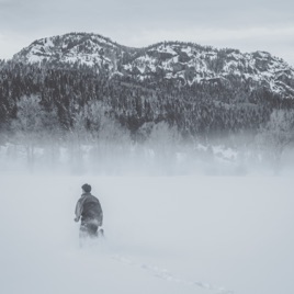 Comrade Lost To The Apocalypse
