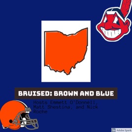 Bruised Brown and Blue
