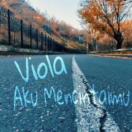 Budi Vio