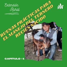 Buenas Prácticas Para El Manejo Del Ternero Recién Nacido