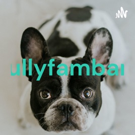 Bullyfambam