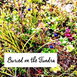 Buried on the Tundra