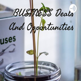 BUSINESS Deals And Opportunities