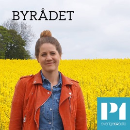 Byrådet