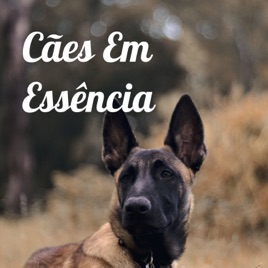 Cães Em Essência