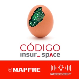 Código Insur_space
