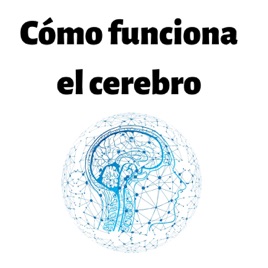 Cómo funciona el cerebro