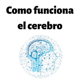 Cómo funciona el cerebro