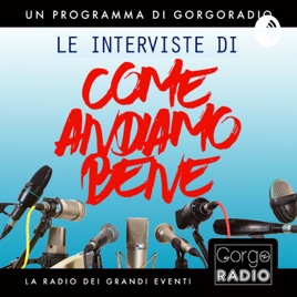 Come Andiamo Bene. Le interviste.