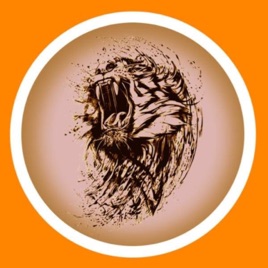I racconti calcistici di Just Tiger