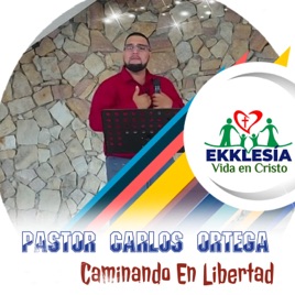 Caminando En Libertad