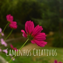 Caminhos Criativos