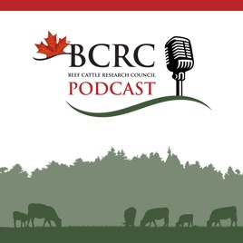 Canadian Beef Cattle Podcast