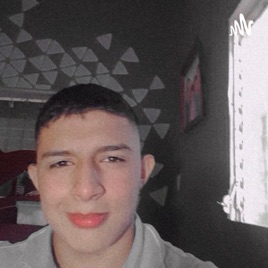 Capítulo 1