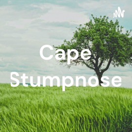 Cape Stumpnose