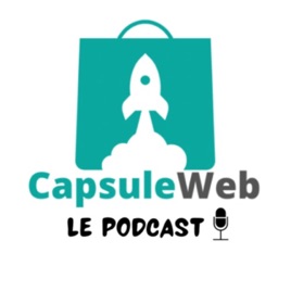 CapsuleWeb : Comprends Enfin Le Référencement Naturel