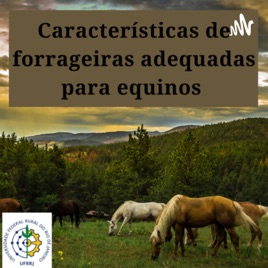 Características de forrageiras adequadas para equinos