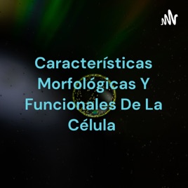 Características Morfológicas Y Funcionales De La Célula