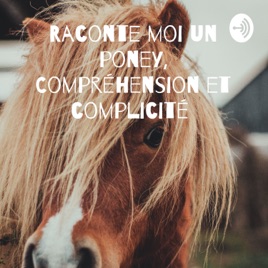 Raconte moi un poney, Compréhension et complicité 🐎🌞