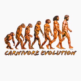 CARNIVORE EVOLUTION