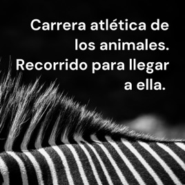 Carrera atlética de los animales. Recorrido para llegar a ella.