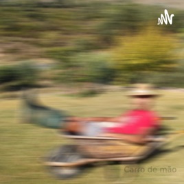 Carro de mão