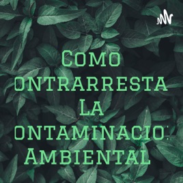 Como Contrarrestar La Contaminacion Ambiental