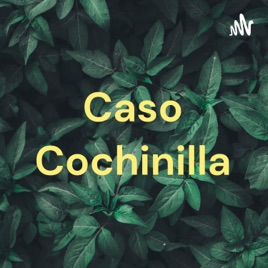 Caso Cochinilla