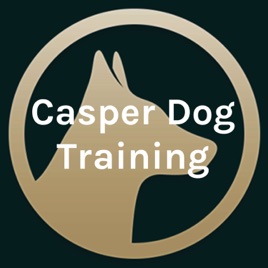 Casper Dog Training