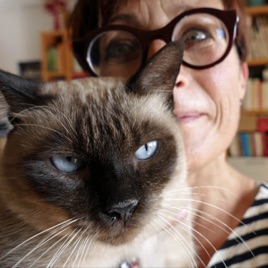 Cat Brain