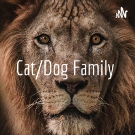 Cat/Dog Family