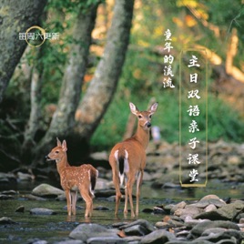 Catechesis for kids 童年的溪流