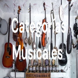 Categorías Musicales 🎶