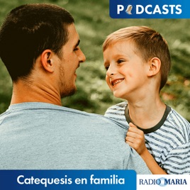 Catequesis en familia (P. Santiago Martín Cañizares)
