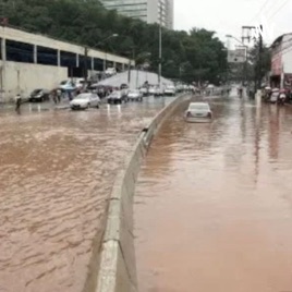 Causas Ambientais