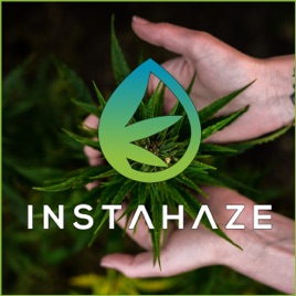 CBD, Cannabis und Hanf |Der InstaHaze CBD Podcast Deutschland