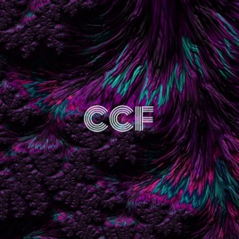 CCF - Meinungen aus allen Ecken