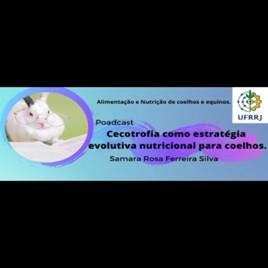 Cecotrofia como estratégia evolutiva nutricional para coelhos