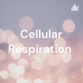 Cellular Respiration