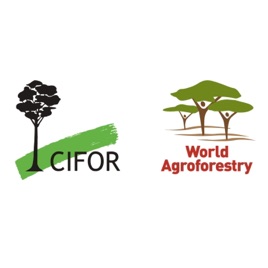 Center for International Forestry Research (CIFOR)