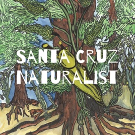 Central Coast Naturalist