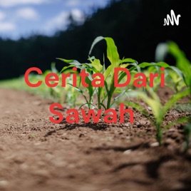 Cerita Dari Sawah