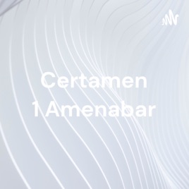 Certamen 1 Amenabar: Teoria modular de la mente