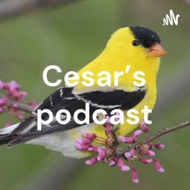 Cesar's podcast